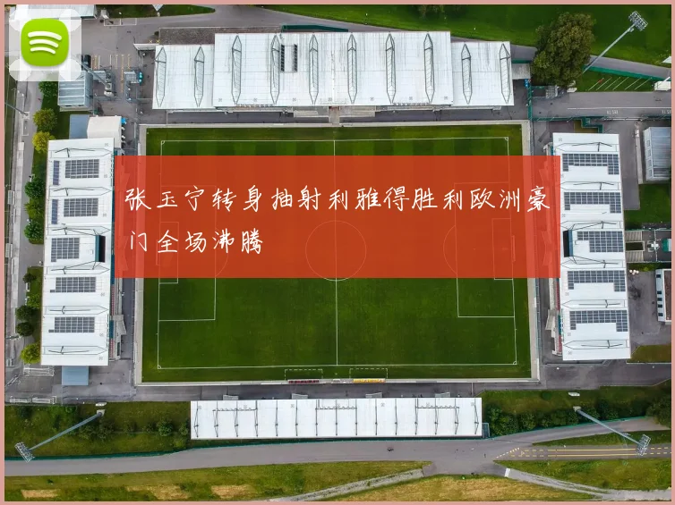 张玉宁转身抽射利雅得胜利欧洲豪门全场沸腾