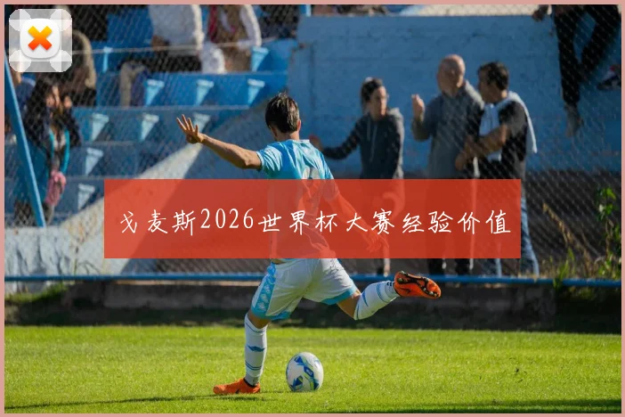 戈麦斯2026世界杯大赛经验价值