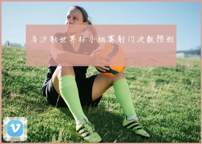 马沙勒世界杯小组赛射门次数预测