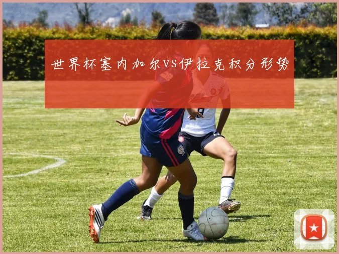 世界杯塞内加尔vs伊拉克积分形势