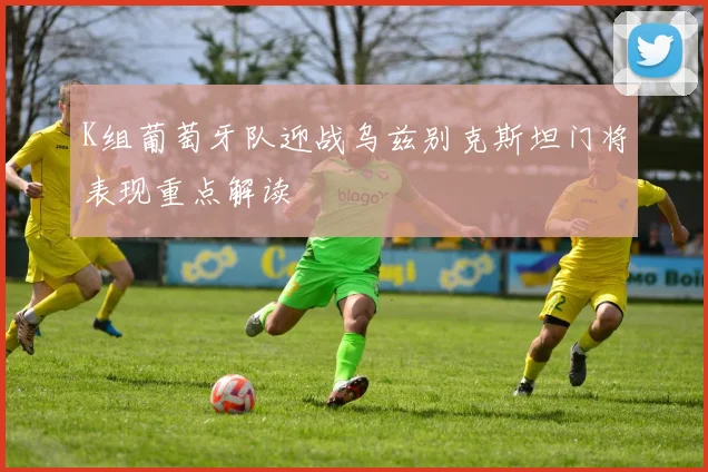 K组葡萄牙队迎战乌兹别克斯坦门将表现重点解读