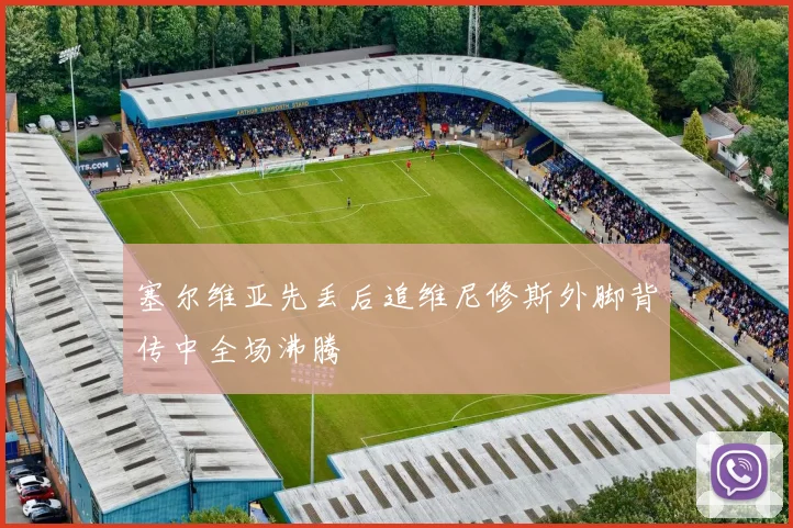 塞尔维亚先丢后追维尼修斯外脚背传中全场沸腾