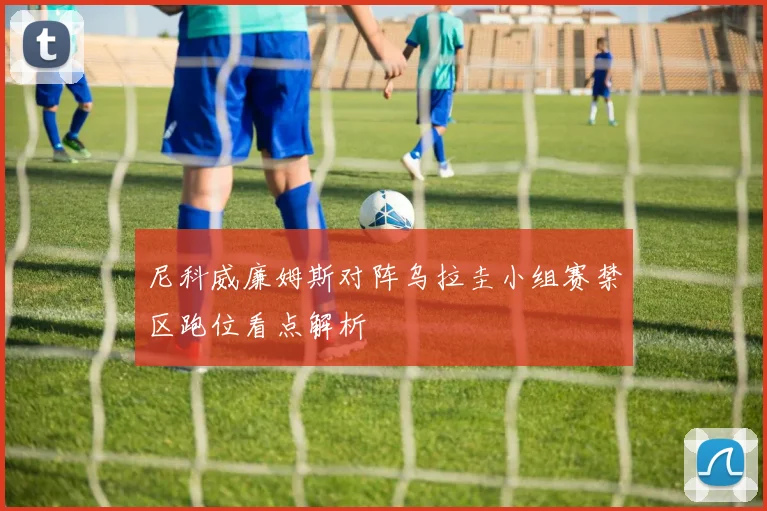 尼科威廉姆斯对阵乌拉圭小组赛禁区跑位看点解析
