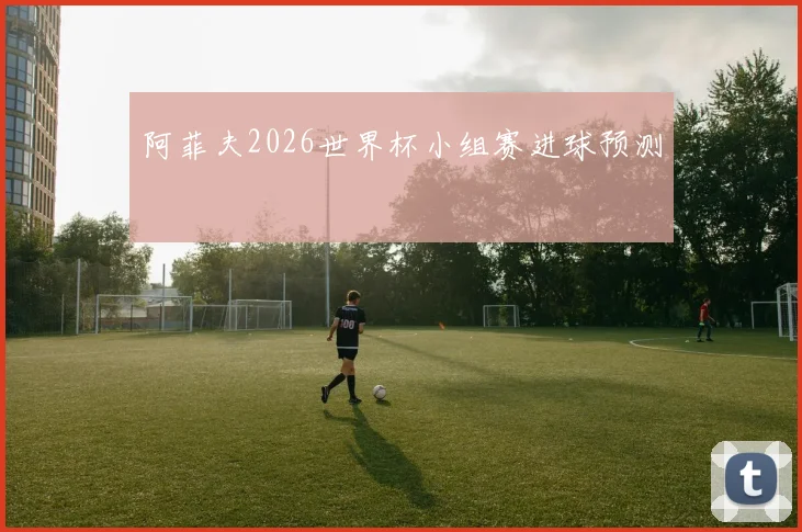 阿菲夫2026世界杯小组赛进球预测